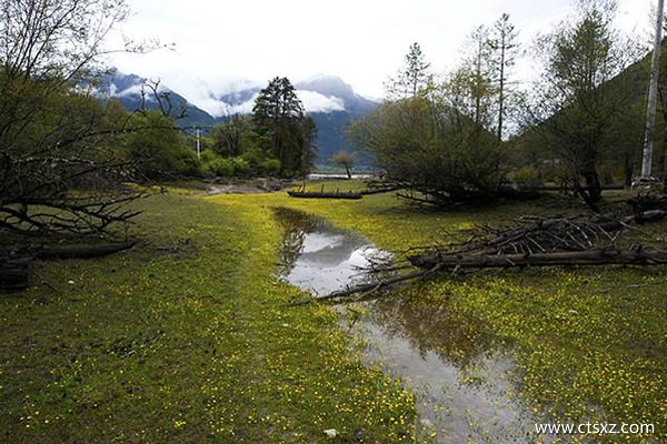 崗云杉林景區(qū)