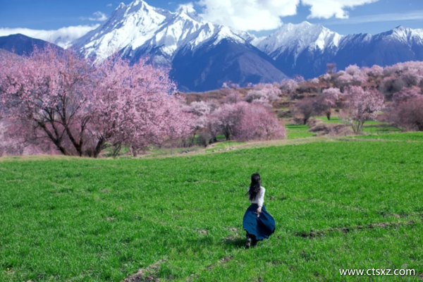 西藏四季出行指南
